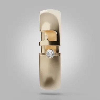 Interactive 3D model of the watch