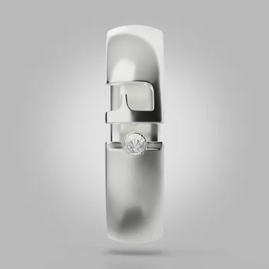 Interactive 3D model of the watch