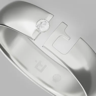 Interactive 3D model of the watch